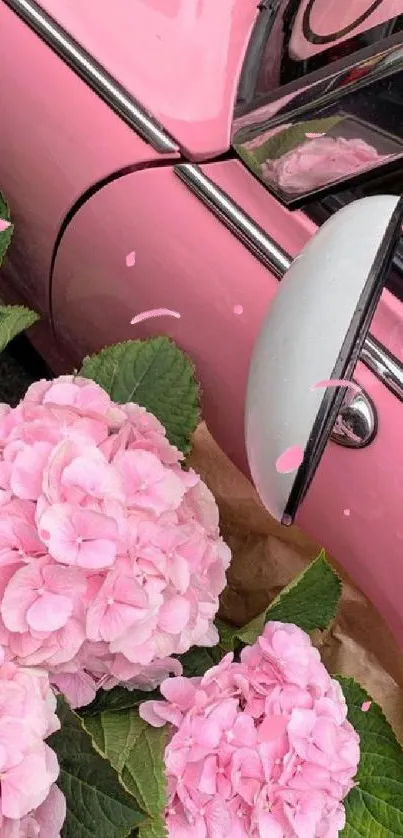 Vintage pink car with hydrangeas wallpaper.