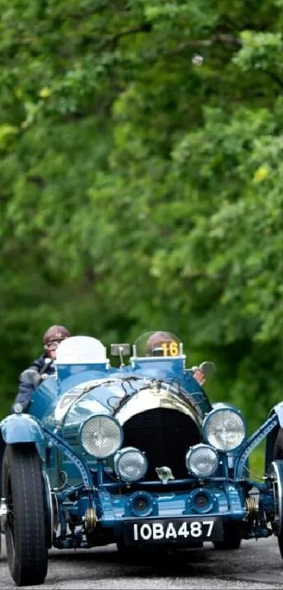 Collage of vintage cars and gourmet culinary dishes.