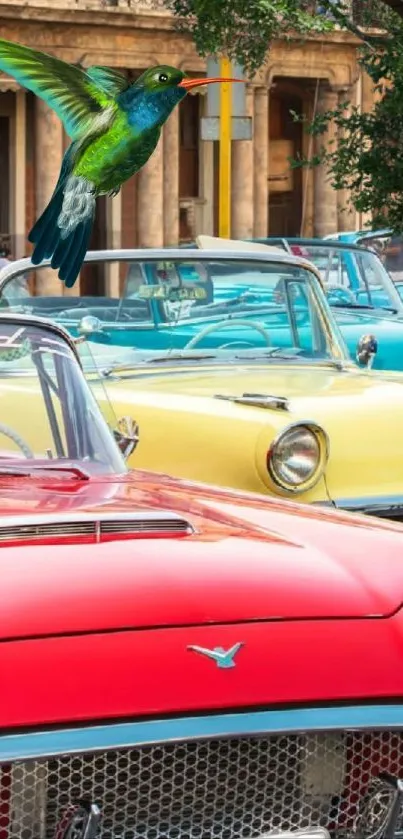 Colorful vintage cars with a flying hummingbird.