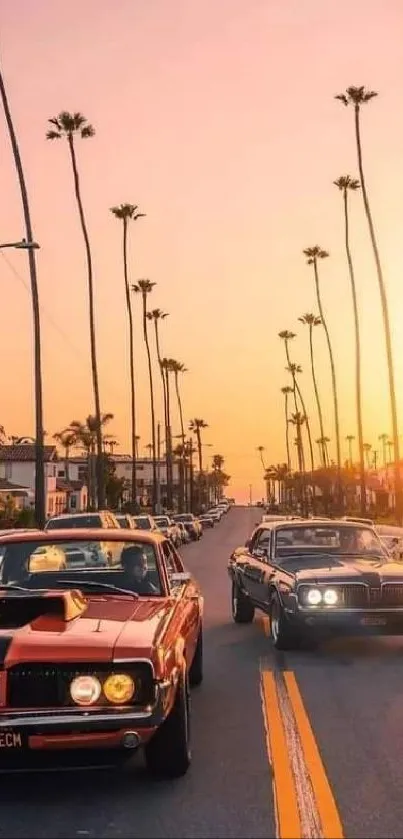 Vintage cars driving at sunset with palm trees and vibrant sky.