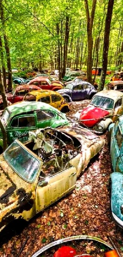 Vintage cars among lush green forest trees.