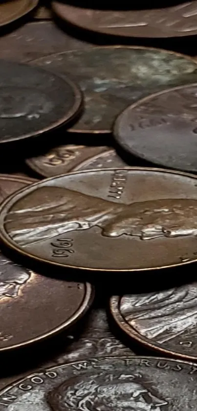 Vintage coins arranged closely with detailed textures on display.