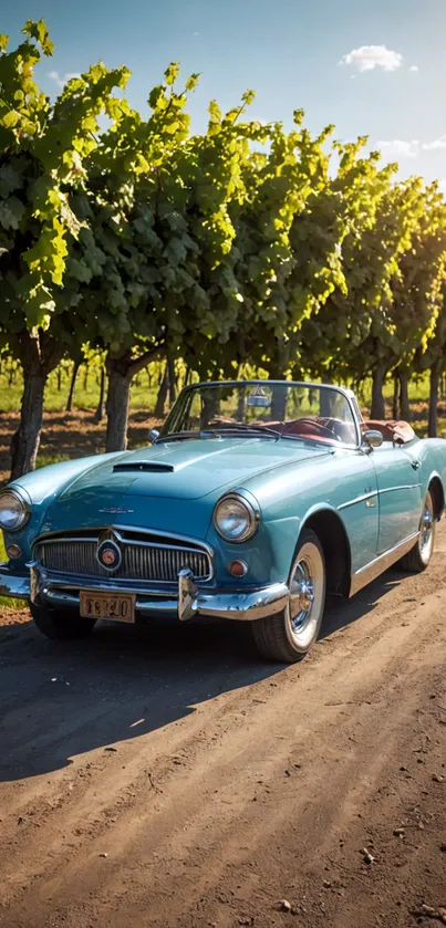 Vintage blue convertible parked by vineyard on a sunny day.