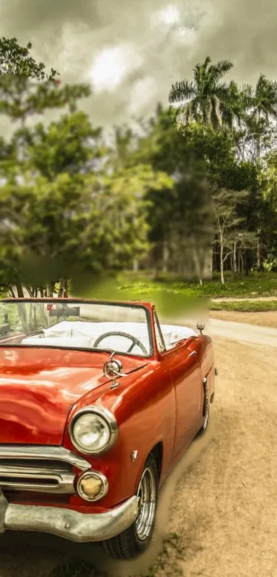 Vintage red convertible car on a scenic forest road.
