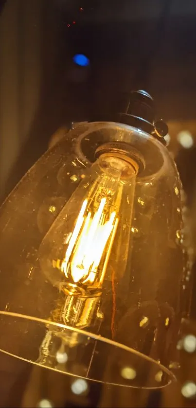 Vintage Edison bulb in a glass lamp shade with warm amber glow.