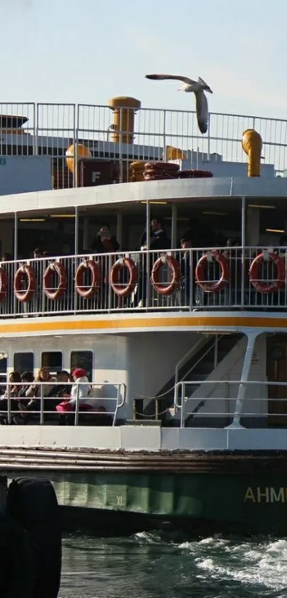 Vintage ferry sailing on water with seagulls in the background.