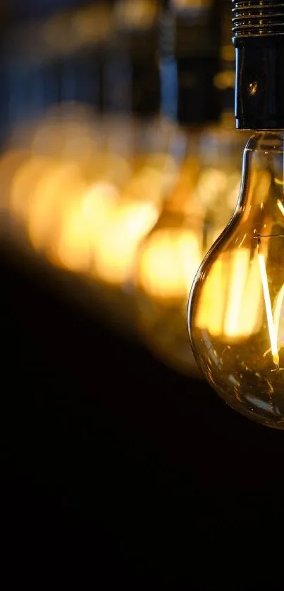 Warm glowing vintage filament bulbs in a captivating, golden light setting.