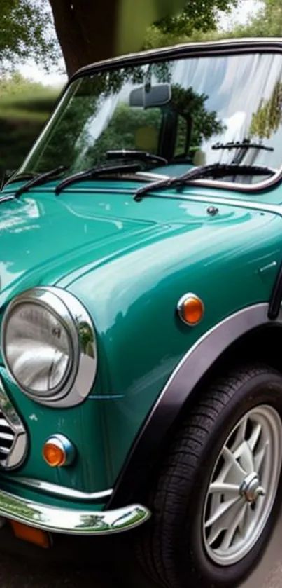 Classic green Mini Cooper parked outside showcasing its vintage design.
