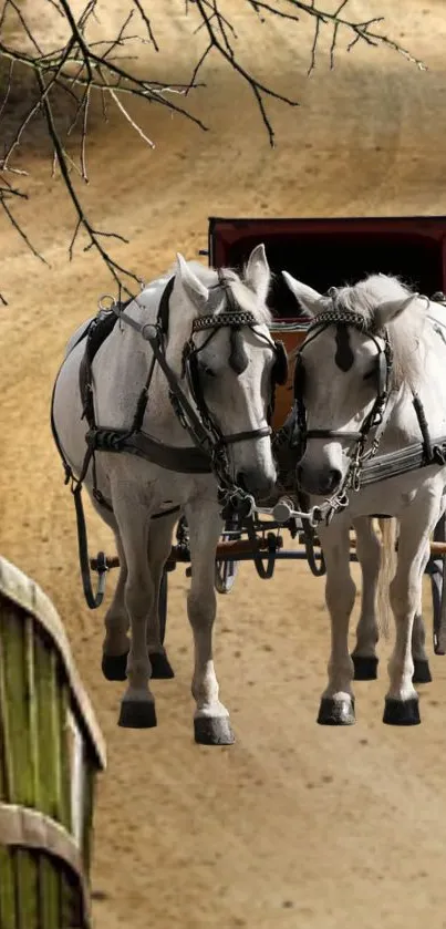 Two horses pulling a vintage carriage on a dirt path.