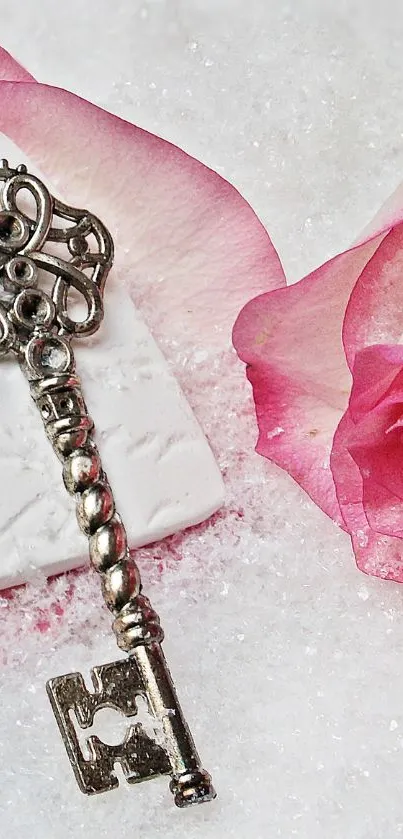 Vintage silver key with pink rose on snowy surface.