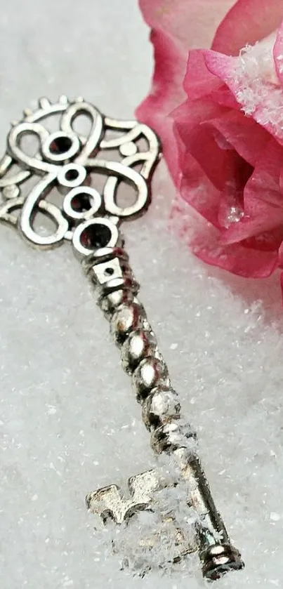 Vintage silver key with pink rose on snow.