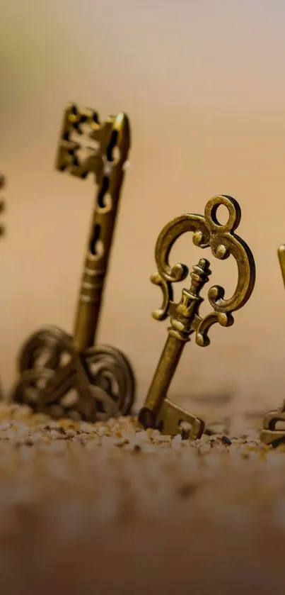 Vintage brass keys on a soft sand background, ideal for mobile wallpaper.