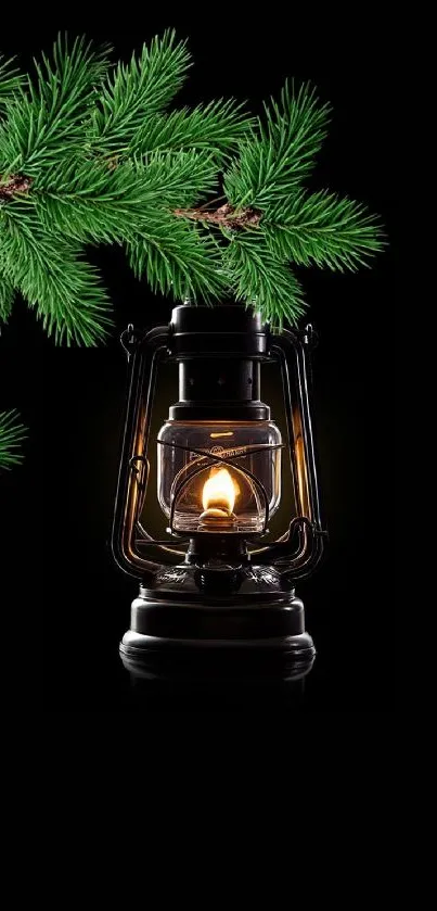 Vintage lantern with pine branch on black background.