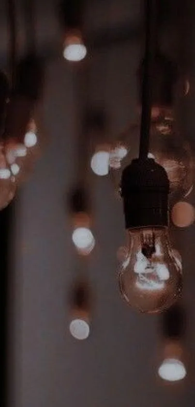 Hanging vintage light bulbs with warm glow and moody ambiance.