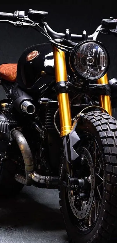 Vintage motorcycle with golden forks and rugged tires on a dark background.