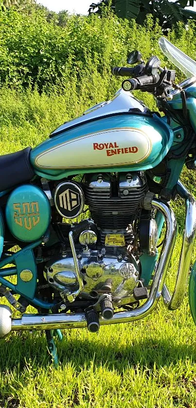 Royal Enfield motorcycle on lush green grass with chrome accents.