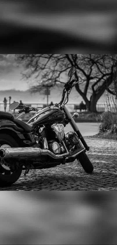 Vintage motorcycle against grayscale scenic backdrop.