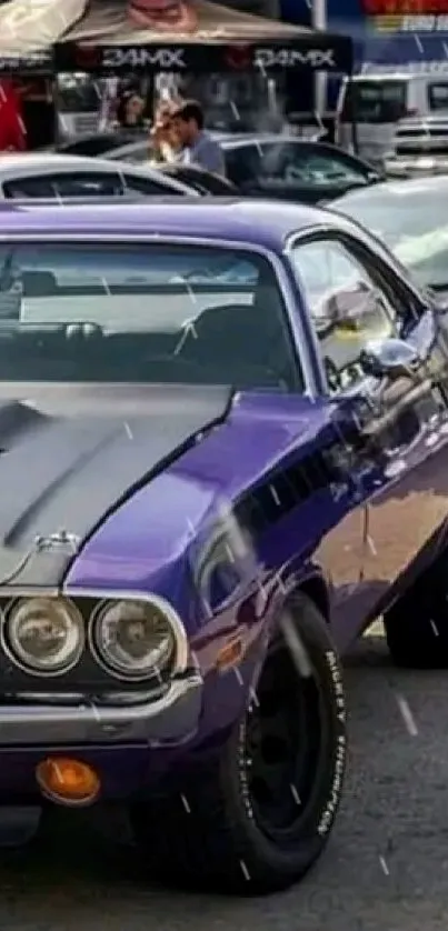 Classic purple Dodge Challenger at car gathering event.