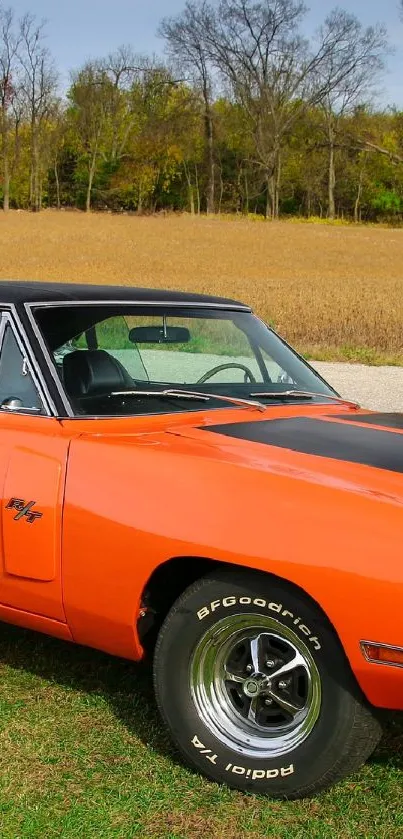 Orange vintage muscle car in a field.