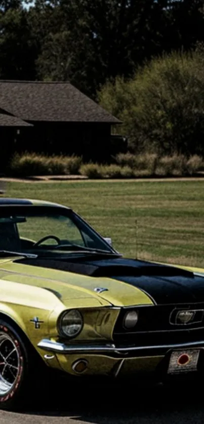 Vintage Mustang parked in a sunny rural setting, showcasing classic design.