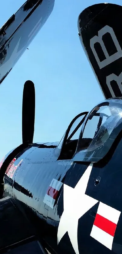 Vintage navy fighter airplane against a bright blue sky.