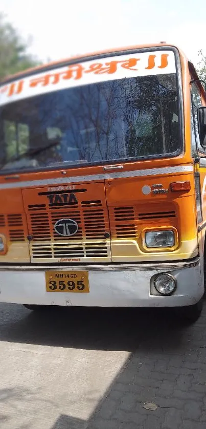 Vintage orange bus parked on a sunny street, capturing classic charm.