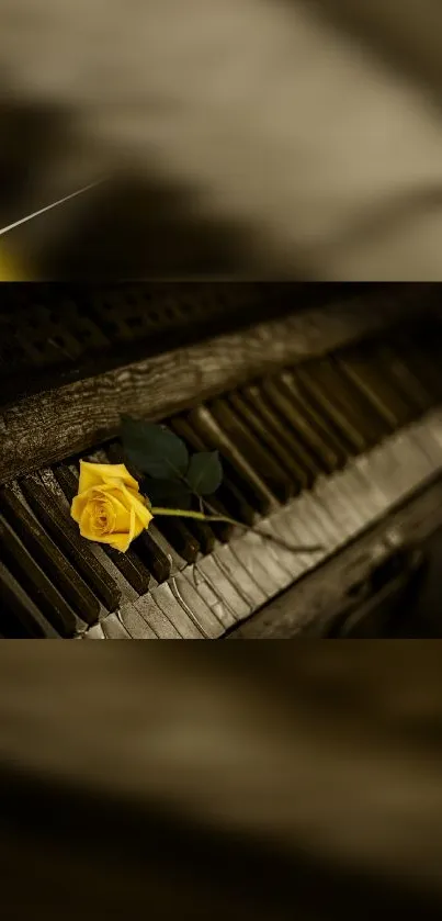 Yellow rose on an old piano with a rustic, vintage aesthetic.