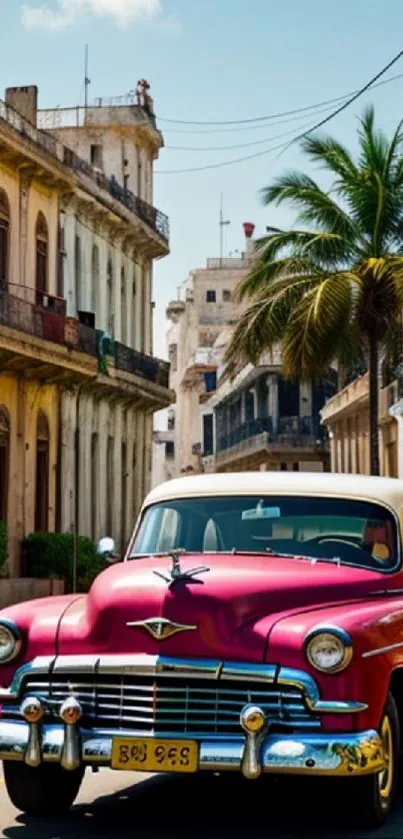 A classic pink car in Havana's vibrant streets.