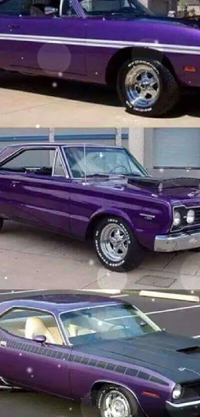 Wallpaper featuring three classic purple muscle cars parked on a street.