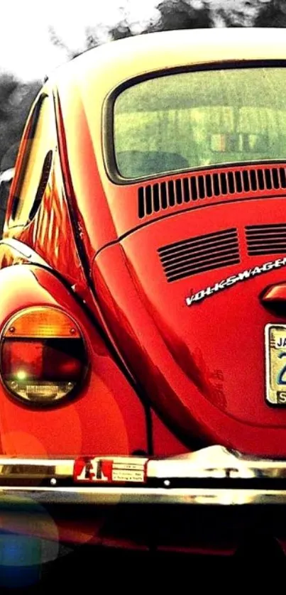 Vintage red Volkswagen Beetle on street.