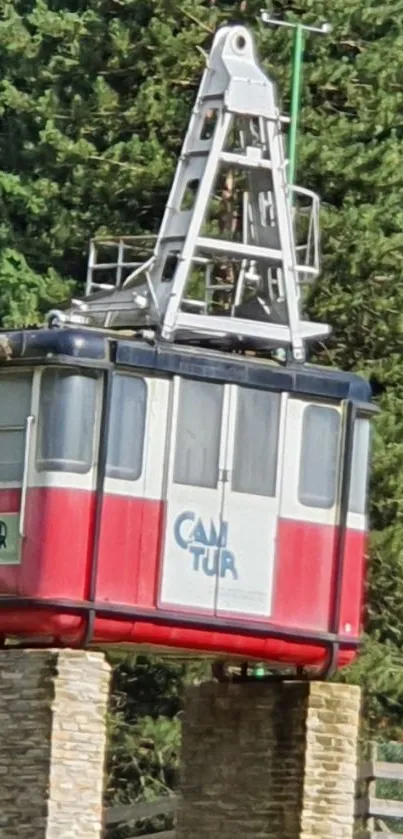 Vintage red cable car on a pedestal amidst greenery.