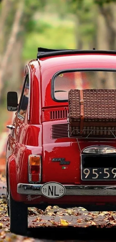 Vintage red car on autumn leaf-covered road.