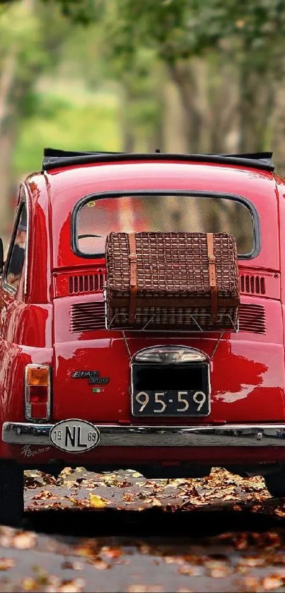 Classic red car driving through autumn forest.