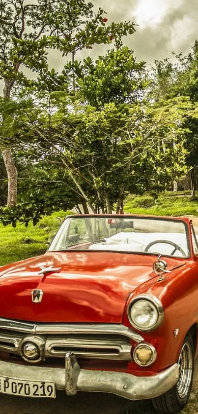 Vintage red car parked in lush nature.