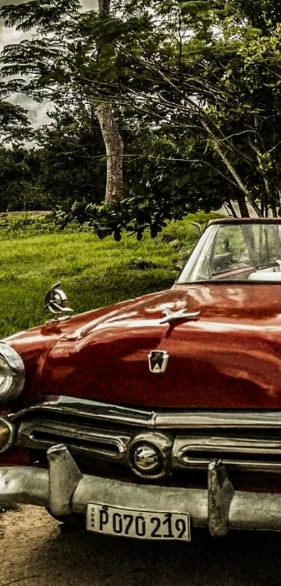 Vintage red car amidst lush greenery under a cloudy sky.