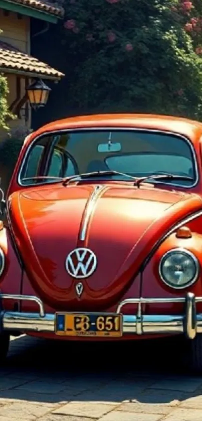 Vintage red car parked on a sunny day.