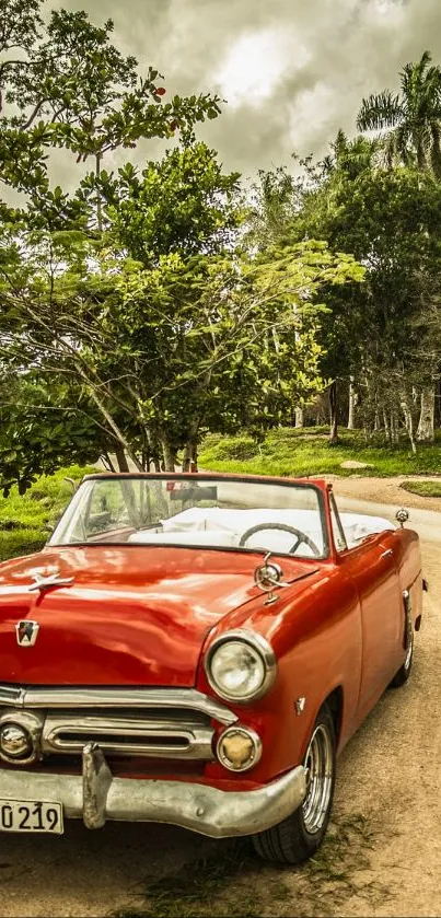 Vintage red car on a scenic green countryside road.