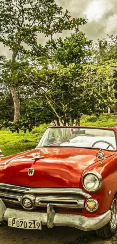 Vintage red car on scenic green backdrop, perfect for mobile wallpaper.