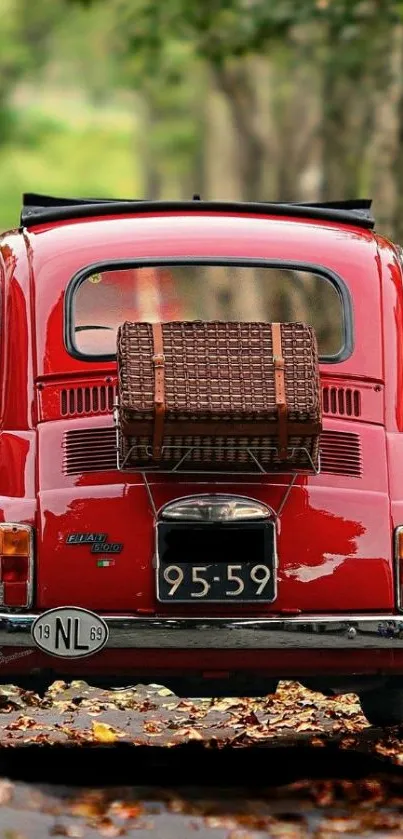 Vintage red car parked on a leafy road.