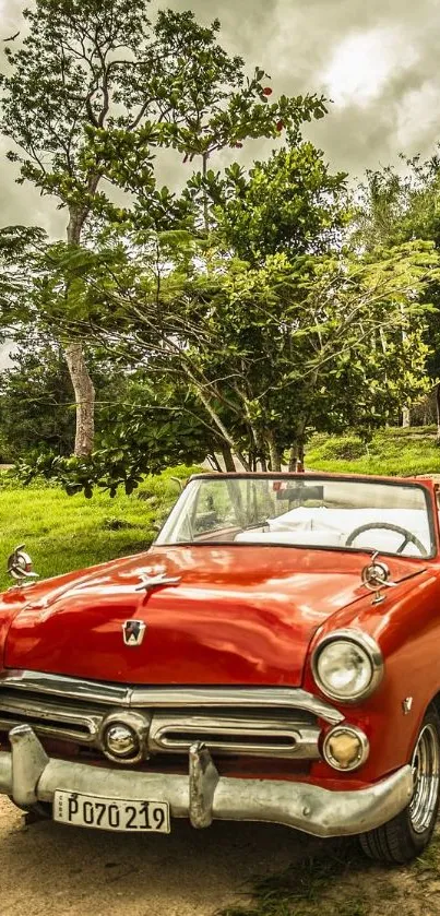 A vintage red convertible car on a countryside road surrounded by lush greenery.