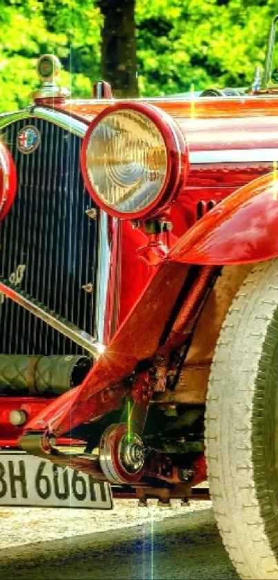 Vintage red car in lush green setting, perfect for automobile enthusiasts.