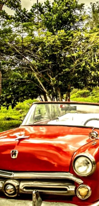 Vintage red convertible car with lush greenery backdrop.