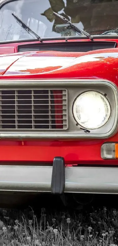 Vintage red car front view with vibrant design.