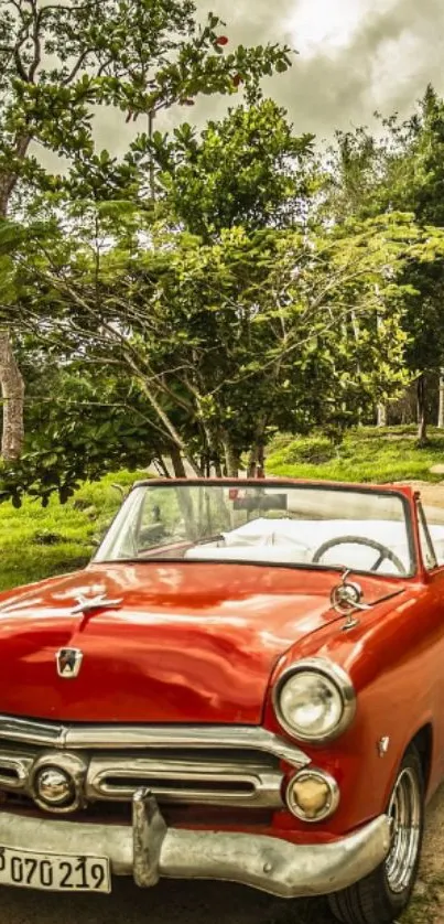 Vintage red convertible car on scenic road.