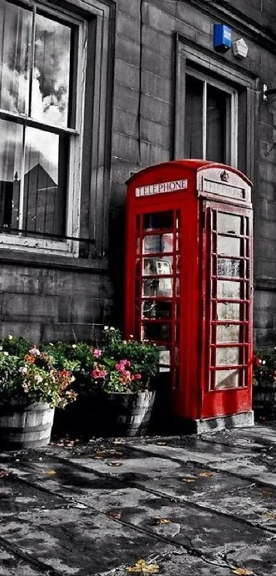 Vintage red telephone booth in grayscale city background with flowers.