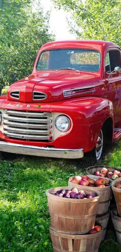 Vintage red truck with apples and trees scene.