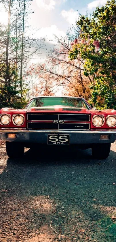 Vintage car on forest road with autumn colors.