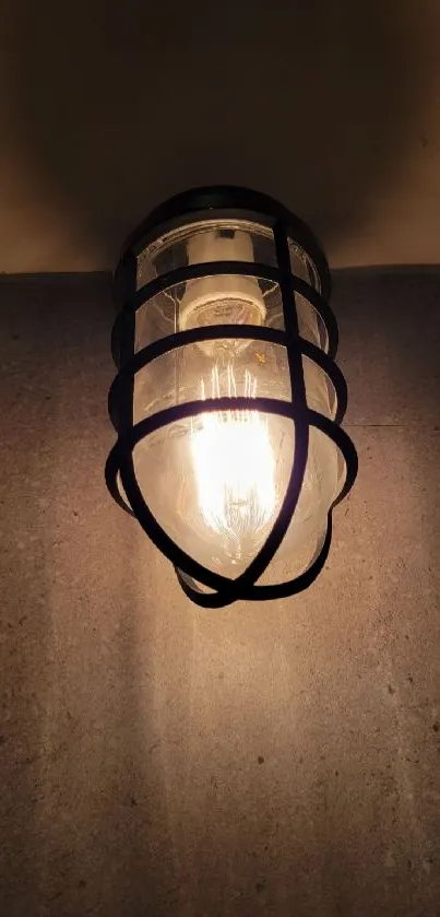 Industrial style light bulb in metal cage on a textured wall background.