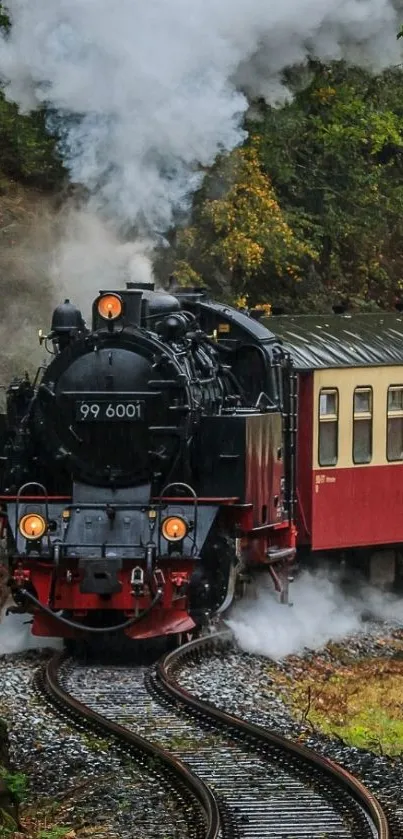 Vintage steam train on a scenic forest railway track.