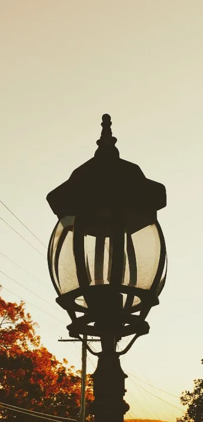 Silhouette of a vintage lamp against a golden sunset sky with autumn trees.